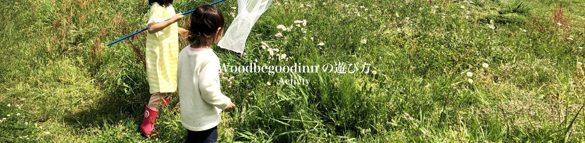 ウッドビーグッドの遊び方