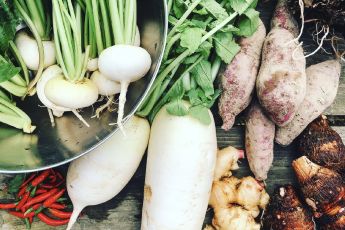 オーガニック野菜