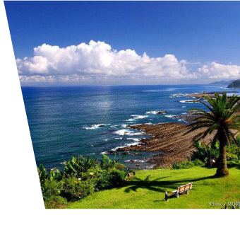 日南フェニックスロード